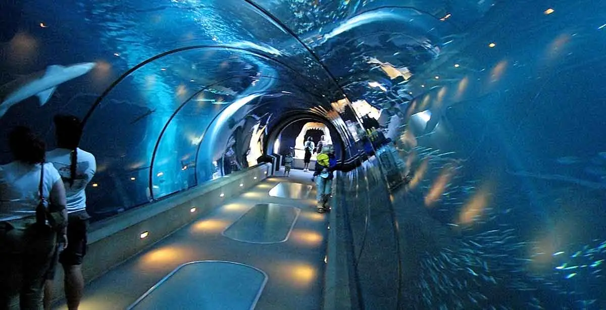 aquarium tunnel