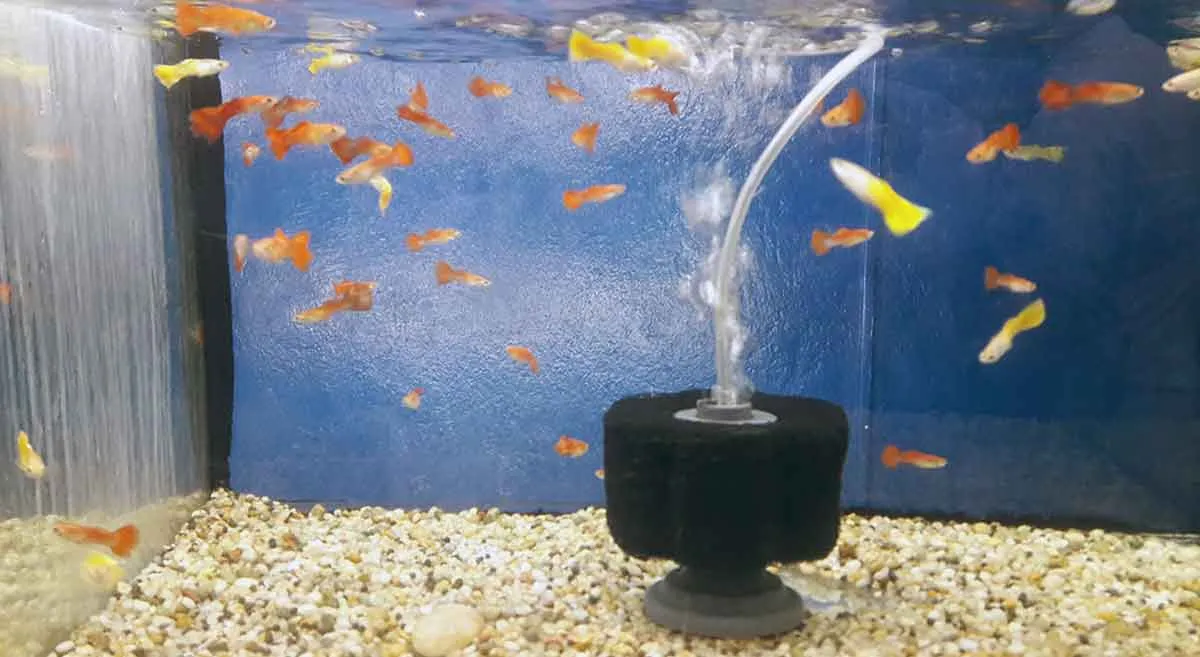 aquarium water filter