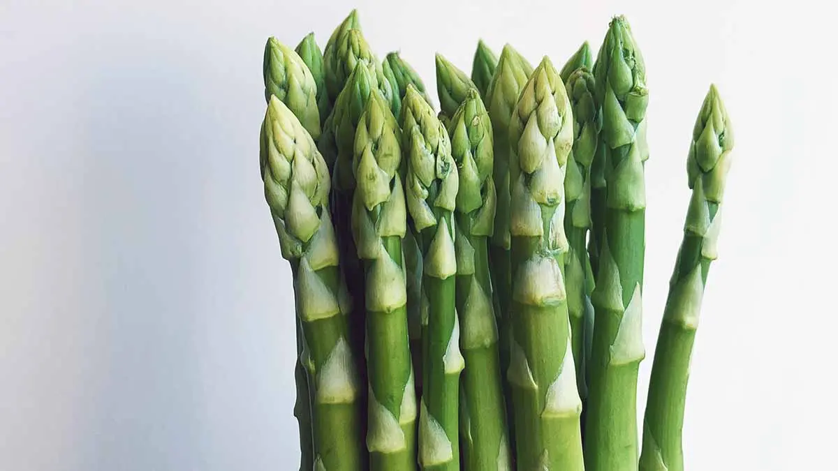 asparagus