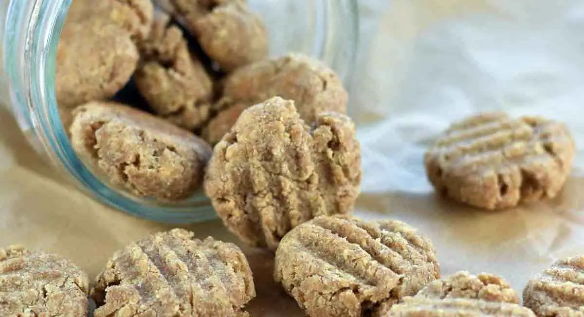 chewy biscuit treats