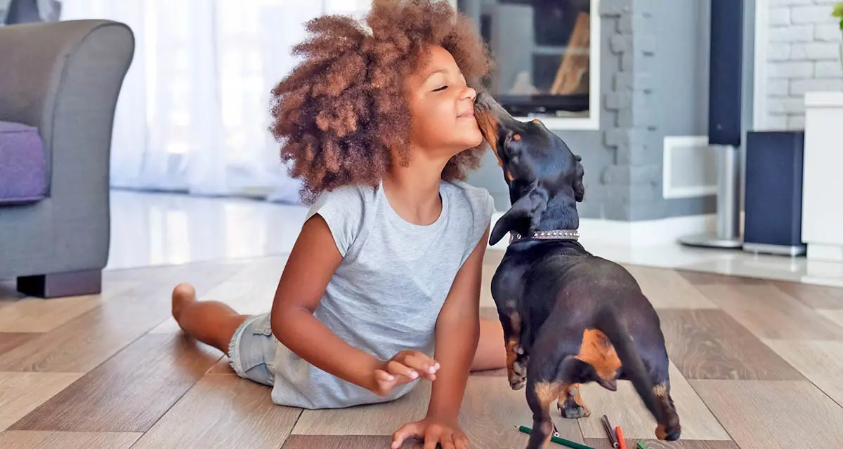 child kissing dog