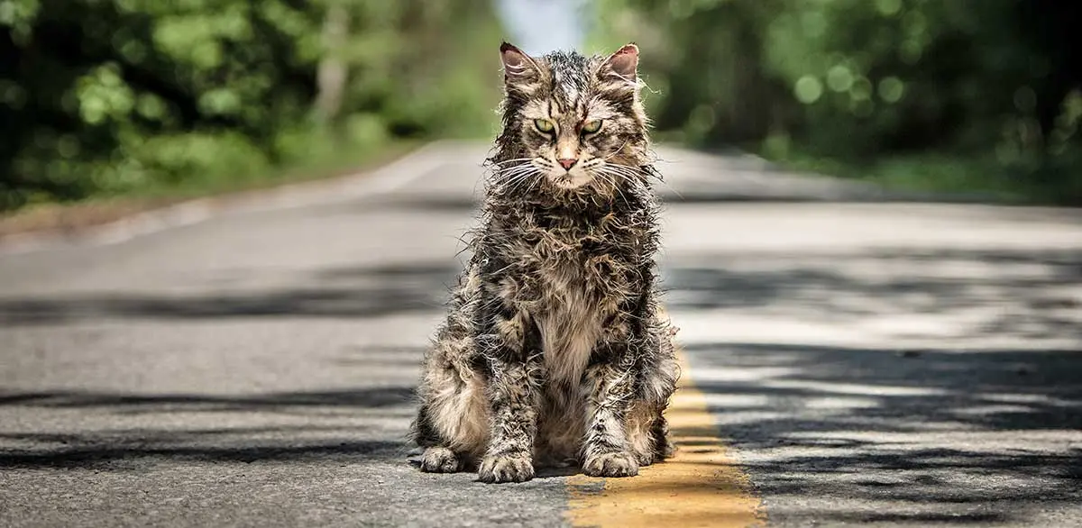 church pet sematary