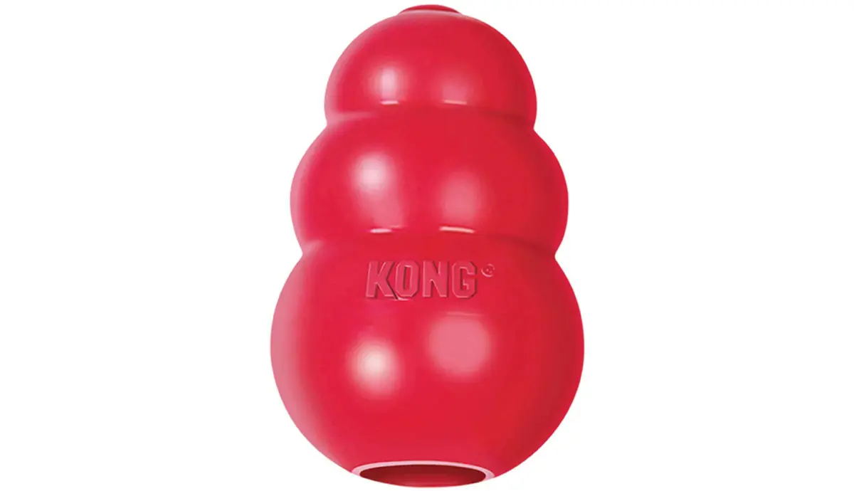 classic kong dog toy