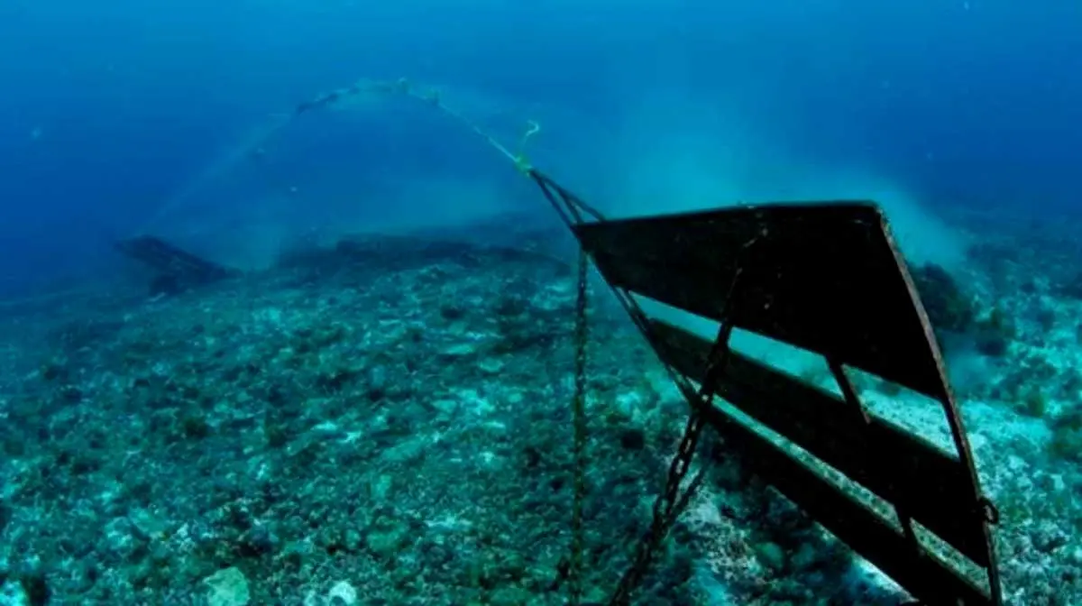 coral damage caused by commercial fishing nets
