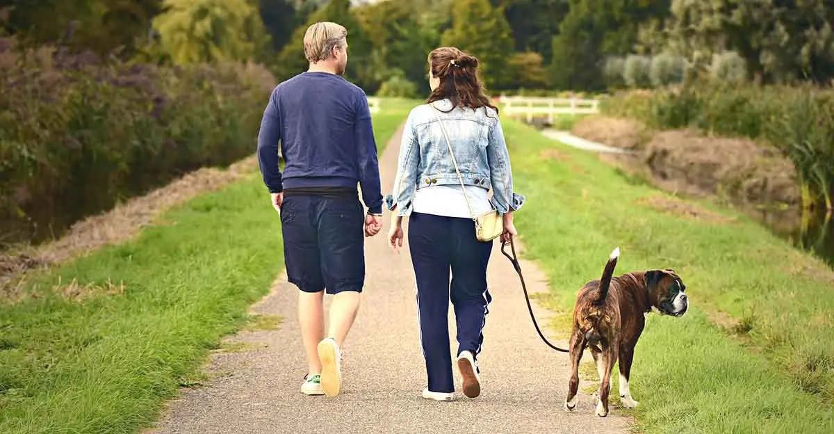 couple walking dog