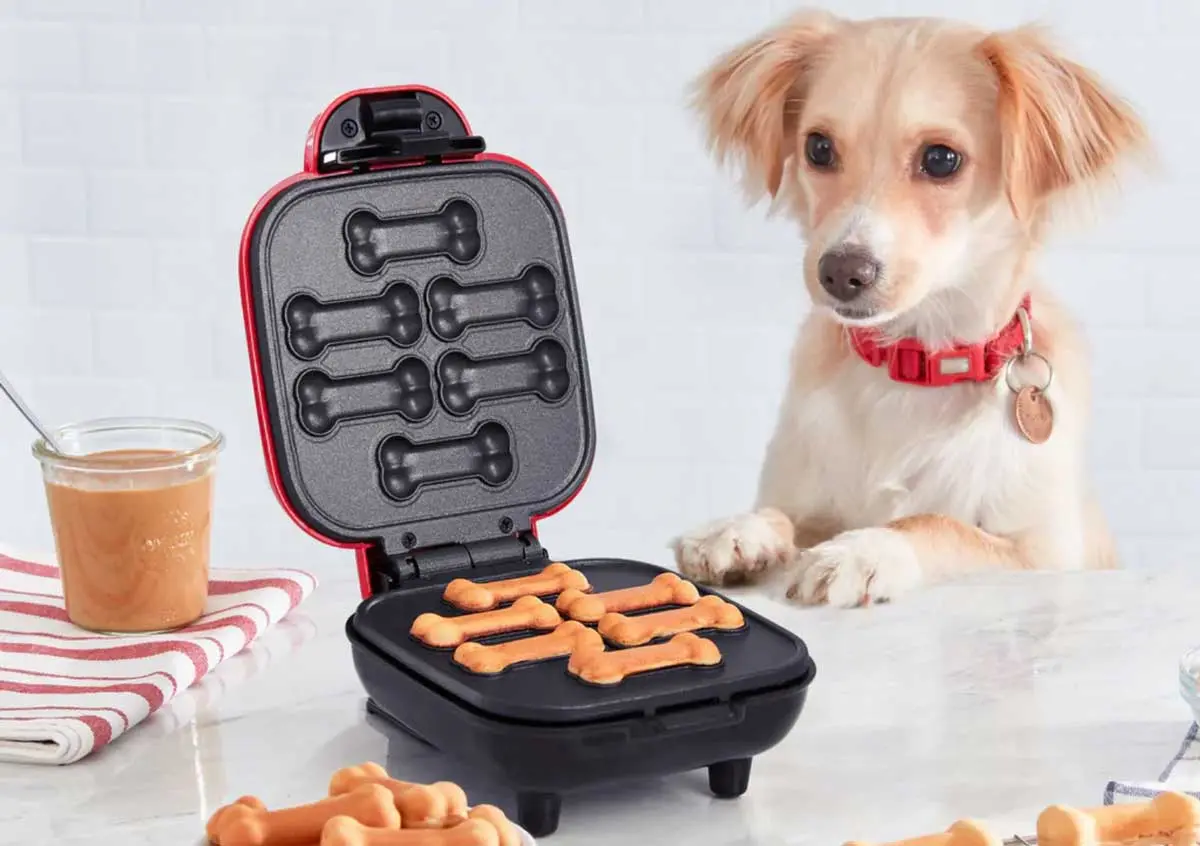 dash dog treat maker