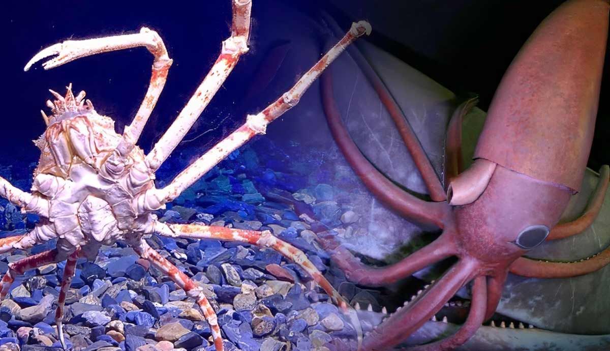 deep sea gigantism explained