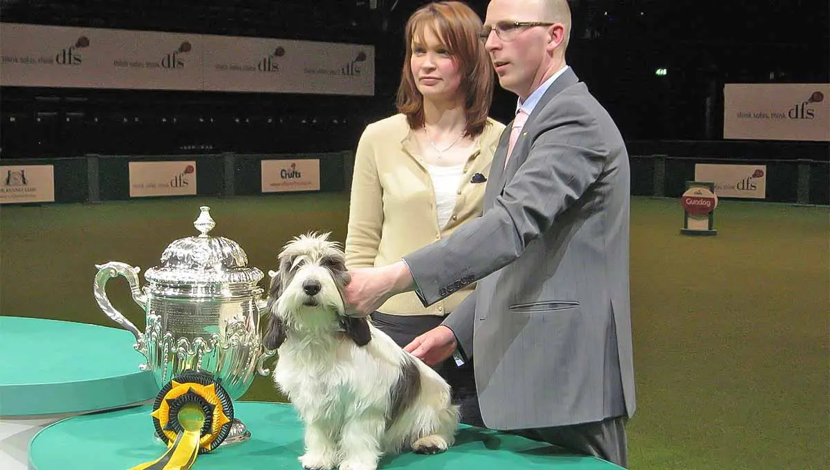 dog beside trophy at dog show