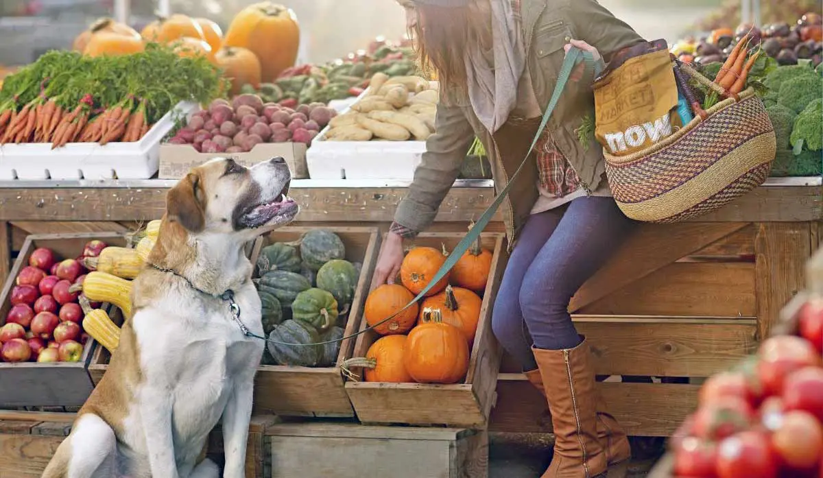 dog farmers market