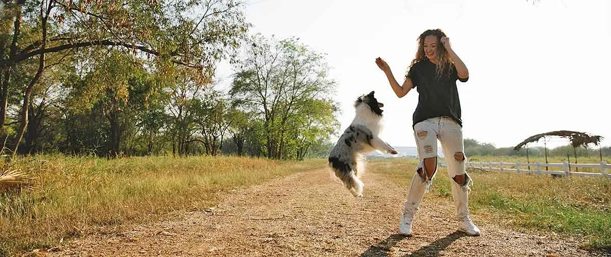 dog_jumping_into_woman_s_arms