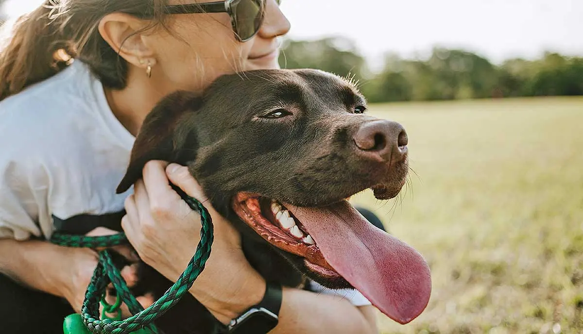 dog park