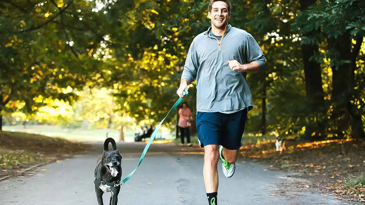 dog running with man