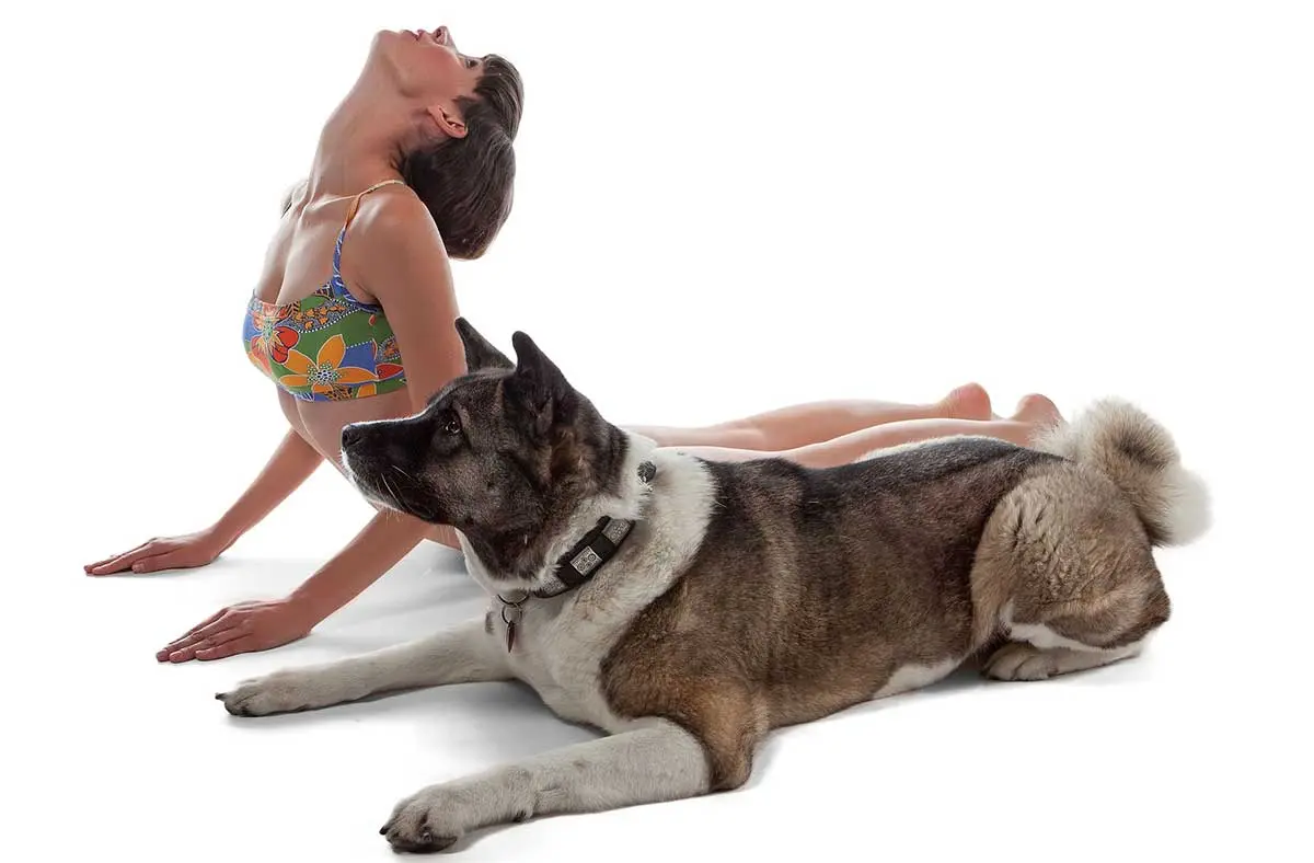 dog yoga