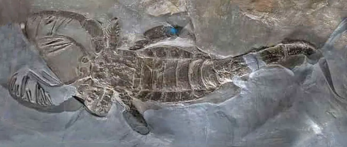 giant sea scorpion