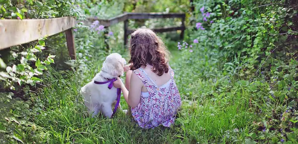 golden retriever child