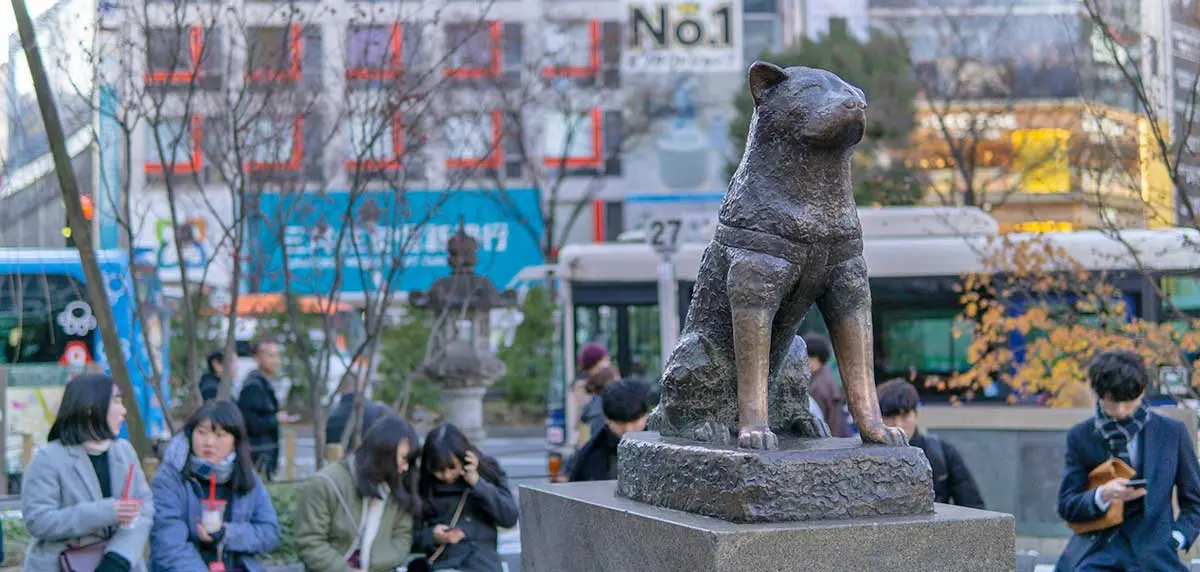 hachiko statue