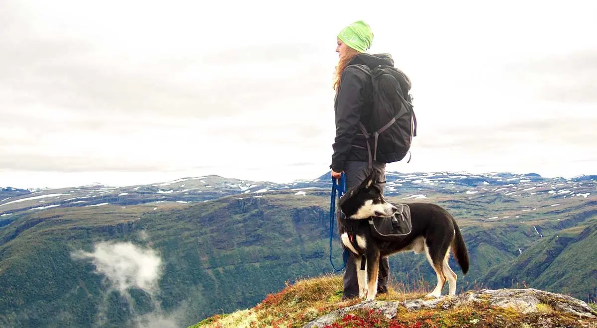 hiking with your dog