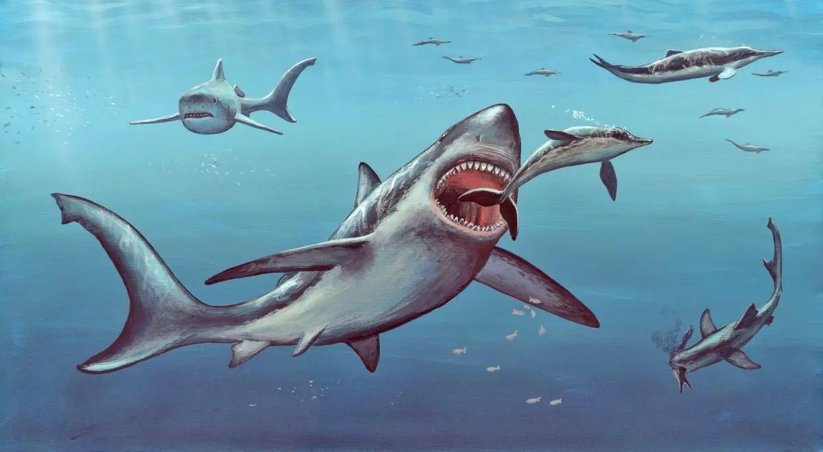 megalodon eating