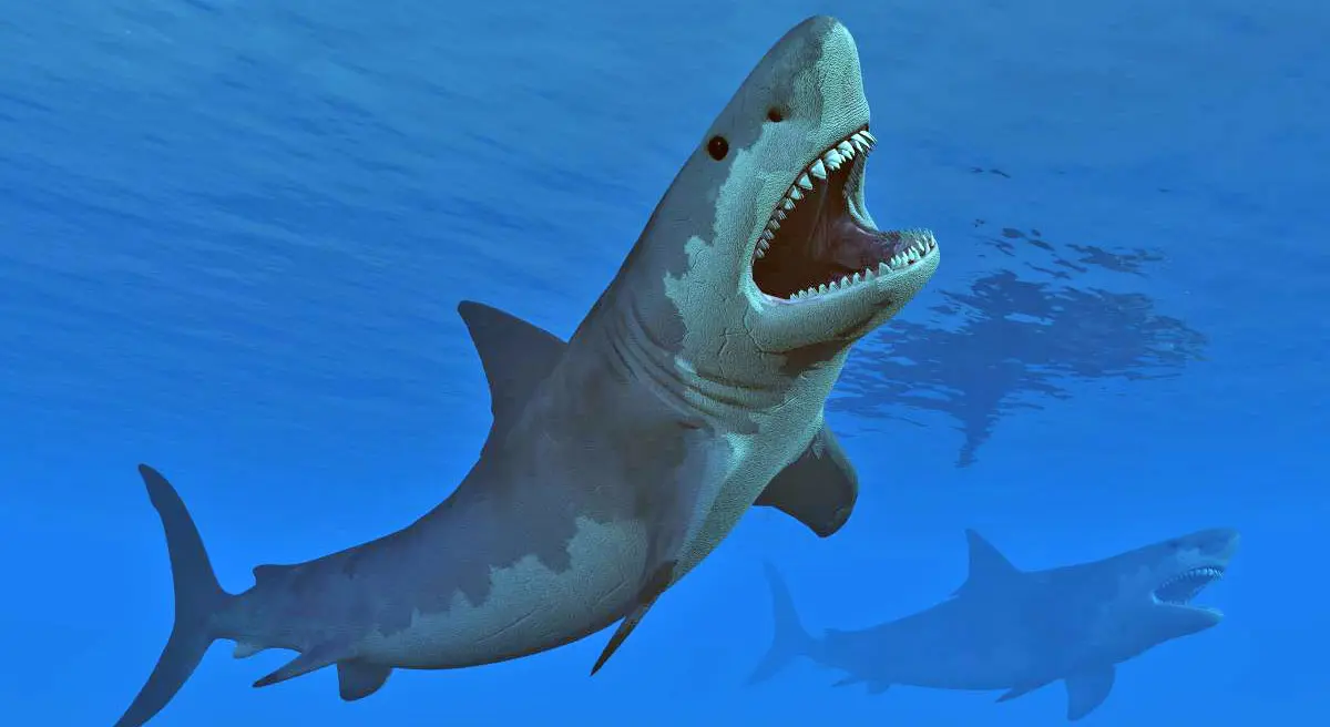 megalodon