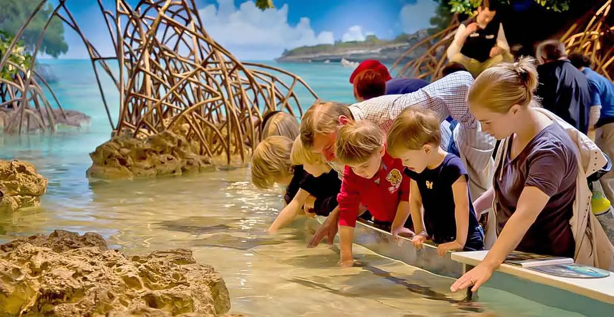 new england aquarium touch tank