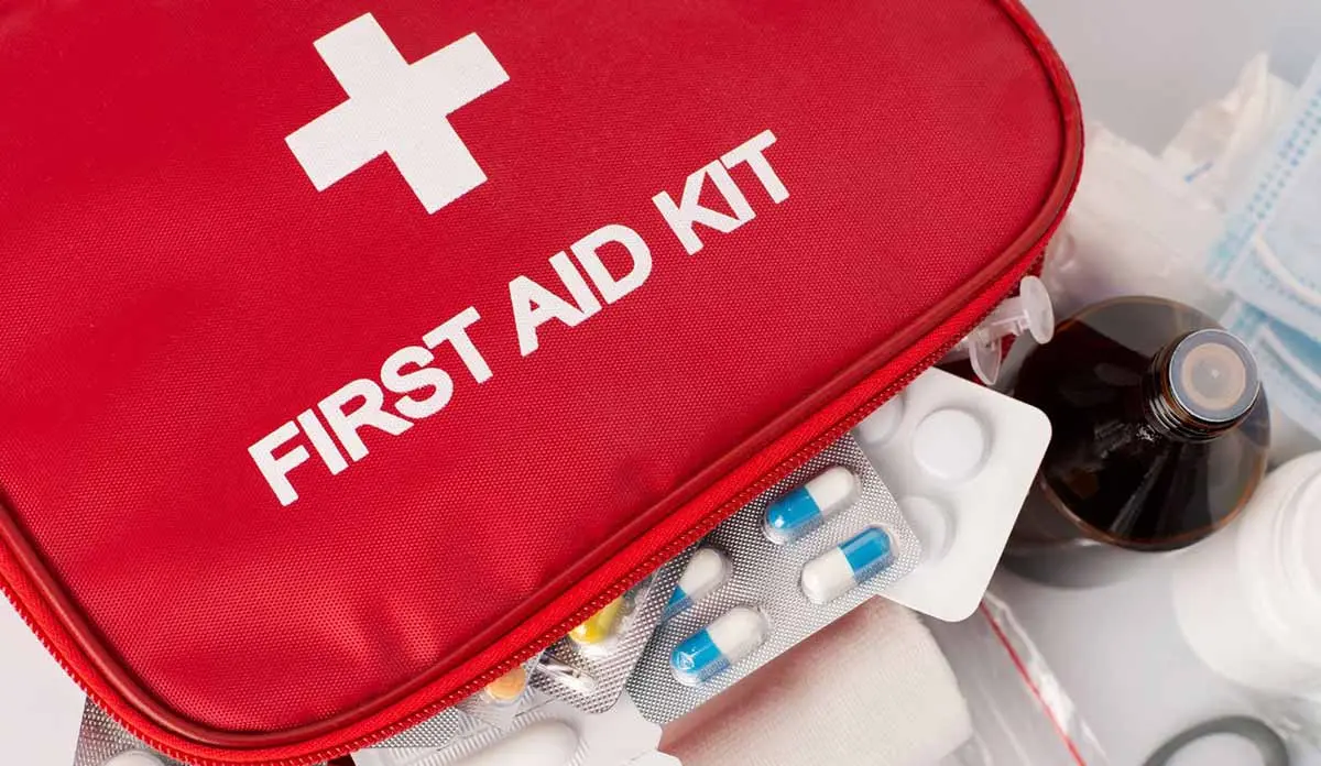 pet first aid kit