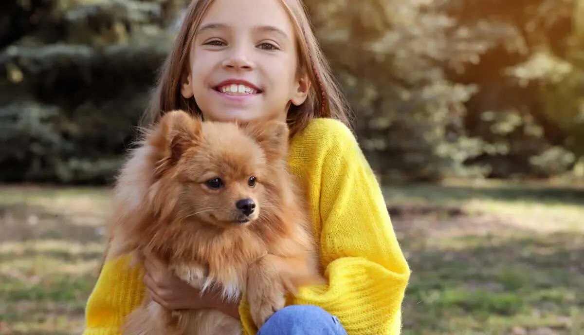 pomeranian and young girl