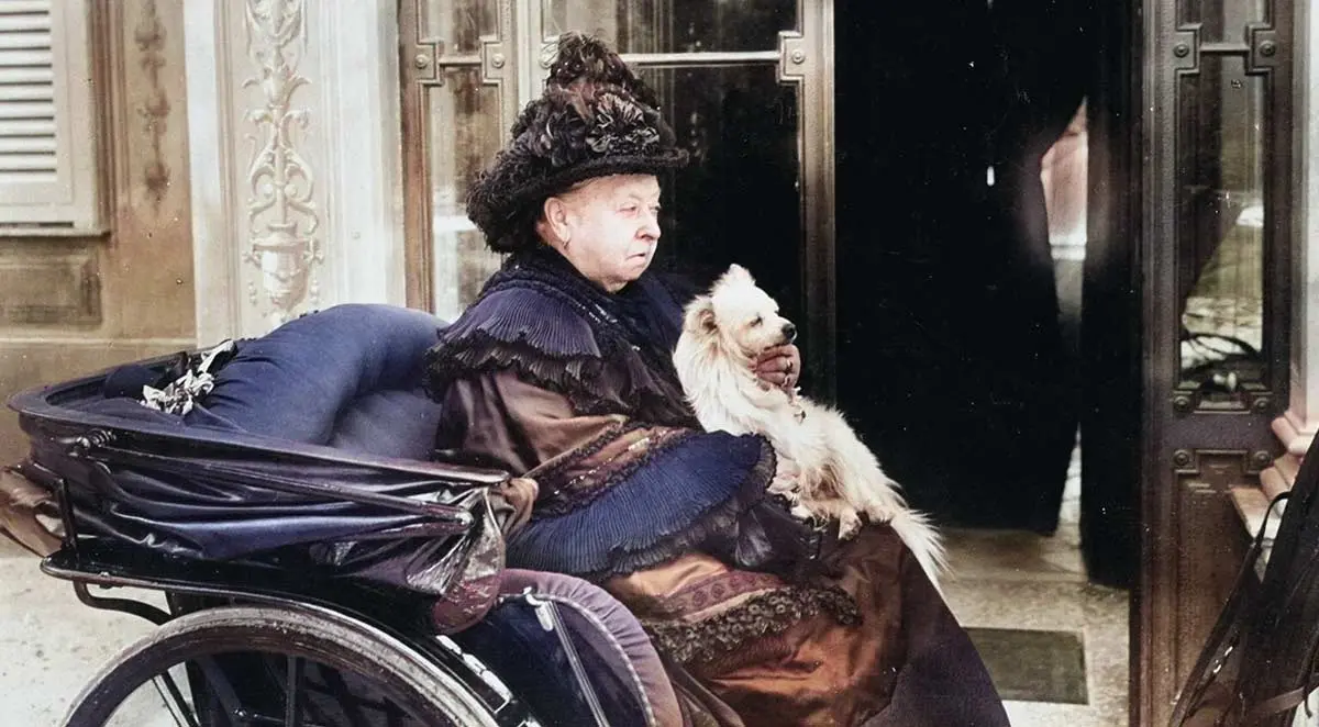 queen victoria with pomeranian