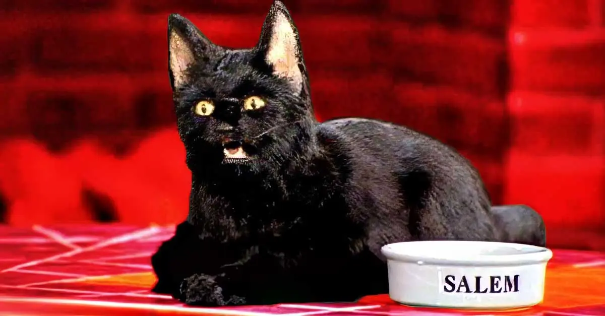 salem from sabrina