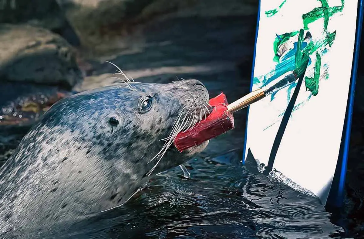 seal painting a picture