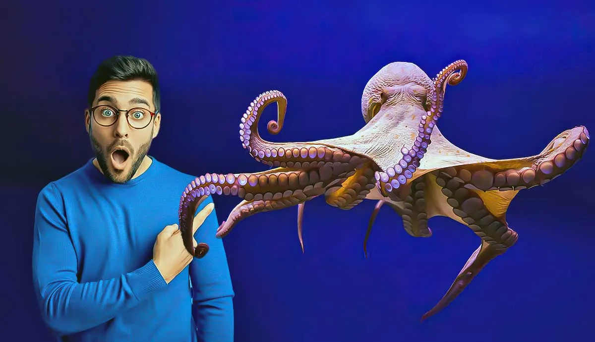 surprising facts about octopuses
