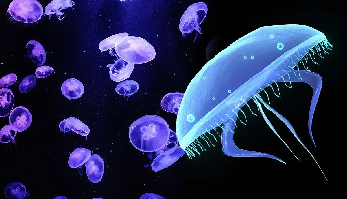 What are Bioluminescent Creatures?