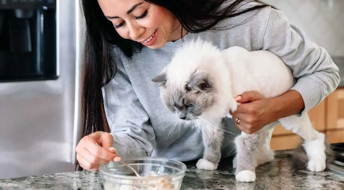 woman feeding cat bowl