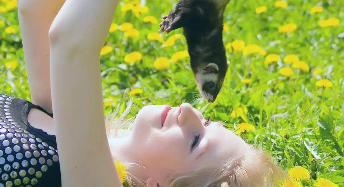 woman holding ferret field