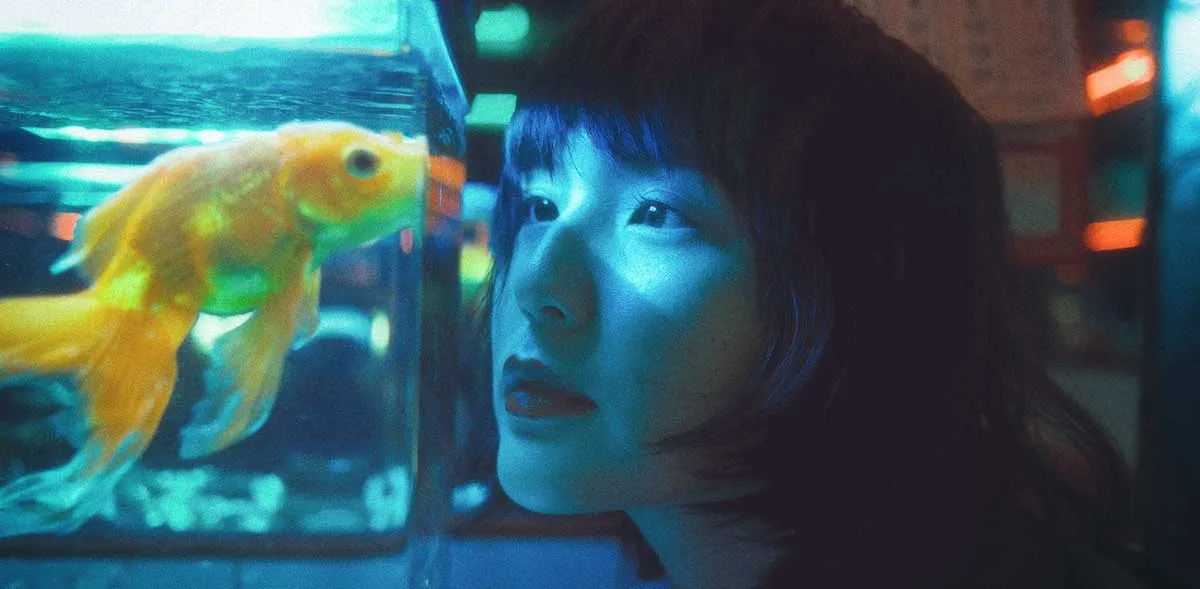 woman watching fish tank